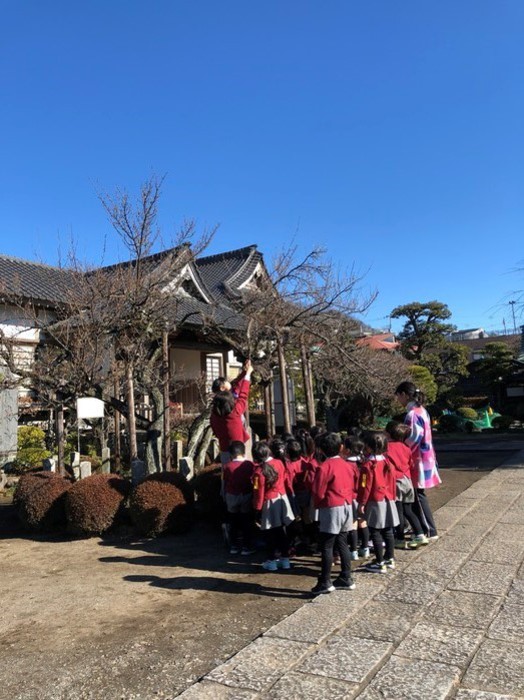 ふじぐみさんたち