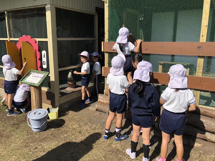 今日も卵がたくさん取れたねー!
