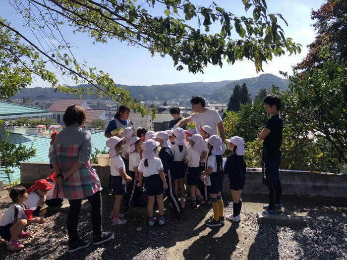 今日はみかんの収穫です!甘いかなぁー