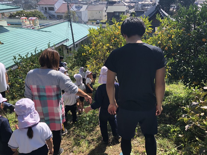 ほしぐみはみかん狩り!大江さんと井口さんもお手伝いしてくれました!