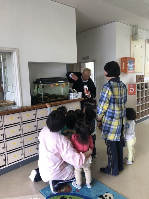 園長先生が金魚さんにご飯をあげているようすをみんな真剣にみています