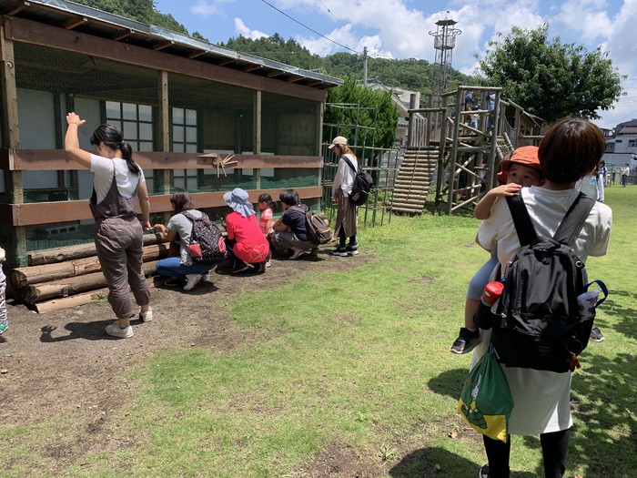 にわとりさん大人気 