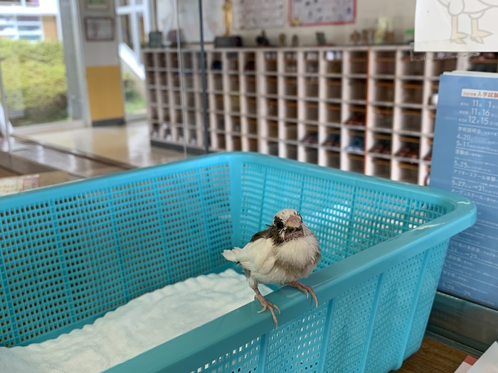 元気になってよかったね