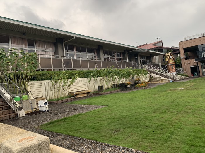 園庭のひまわり 台風にも大雨にも負けず頑張っています!