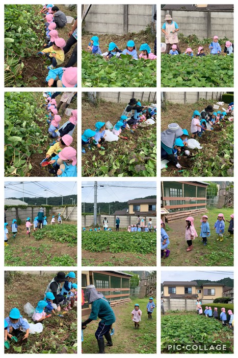 2歳児クラス つくしさん、すみれさん