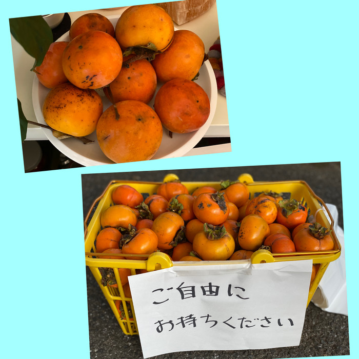 お皿の柿はお寺の柿。永子先生が大好きだったとの事で、園長先生が「永子柿」って言っていました??