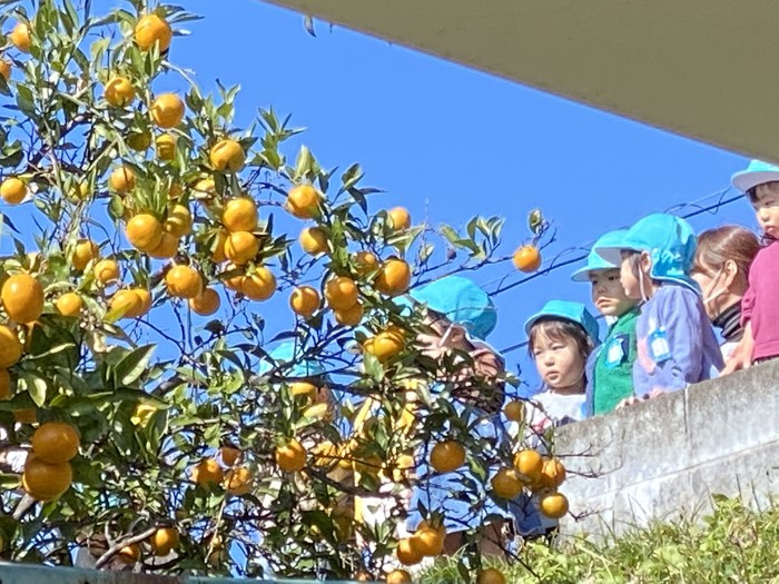 真剣に聞いています 