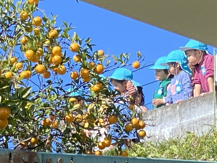 早く食べたいなぁ 