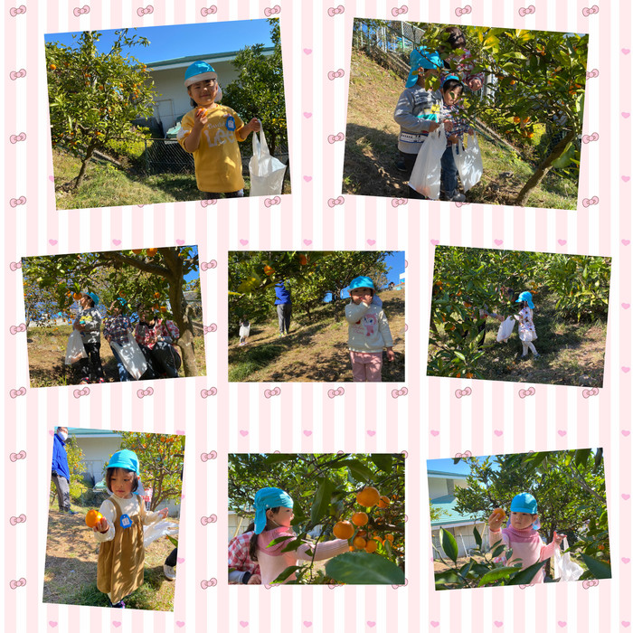 斜面も自分で足を踏ん張って登り下りできています。