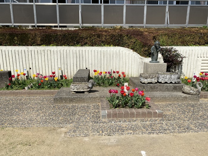 チューリップがキレイ！！