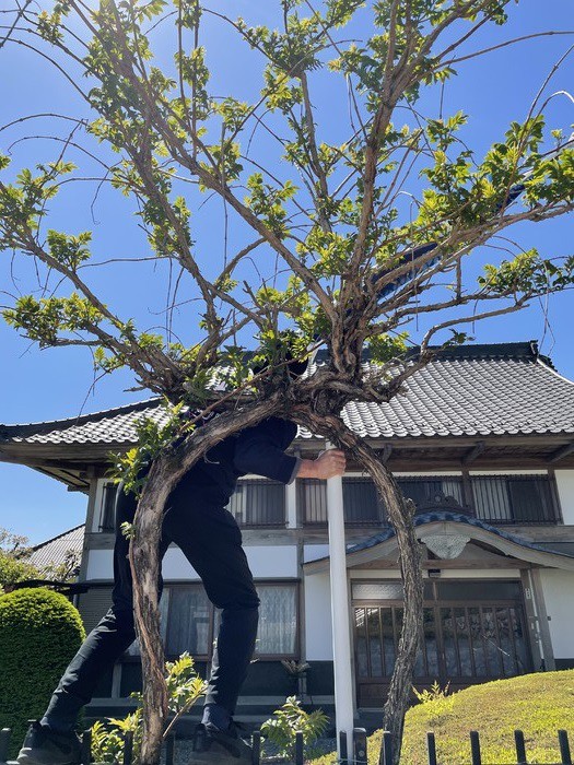 このお助けマンは誰かな？