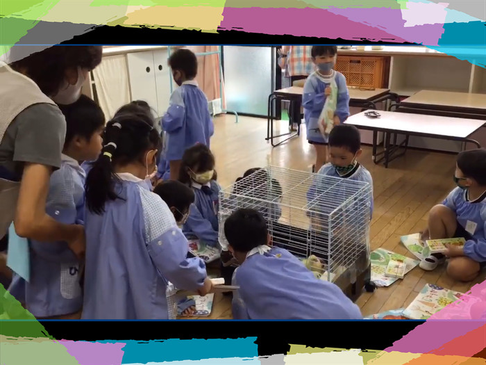 可愛らしいひよこさんたちの姿に興味津々です。