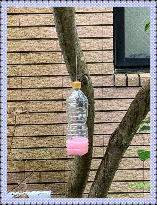 キャップの下にある入口から蜂が入る仕組みです。