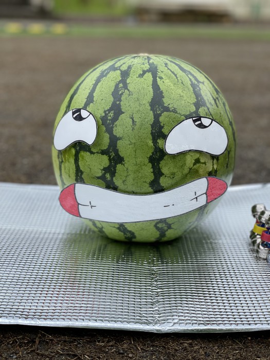 あっという間にわられてしまいました?