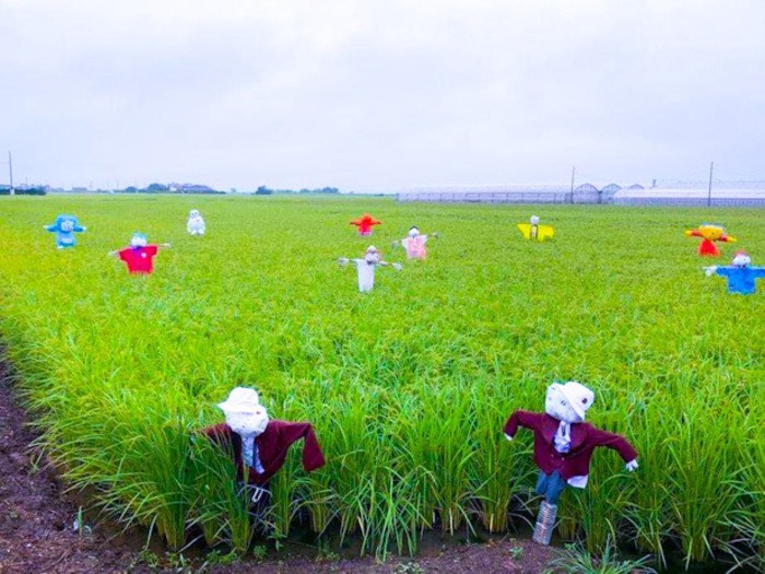 カラフルですね?