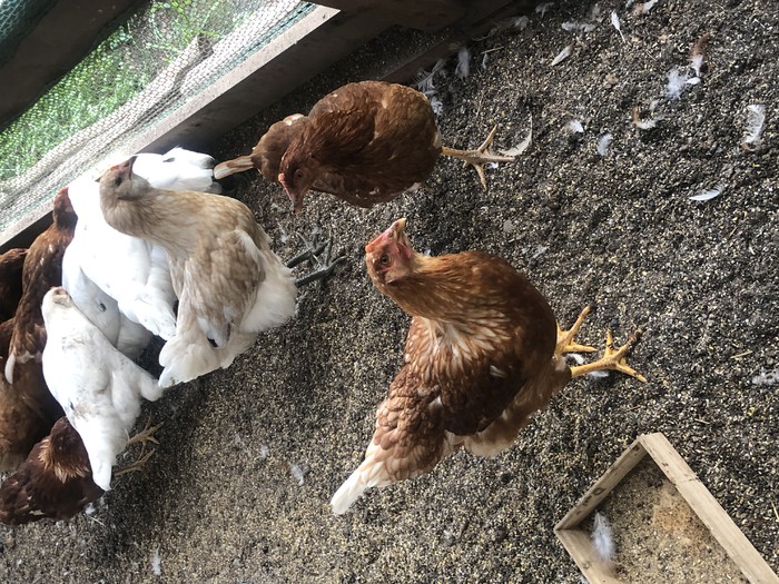 こんなに大きくなりました！！