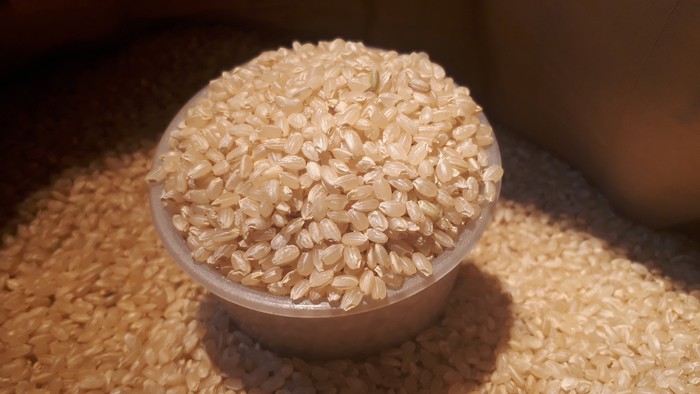 こちらは令和２年度産ですがピカピカです！