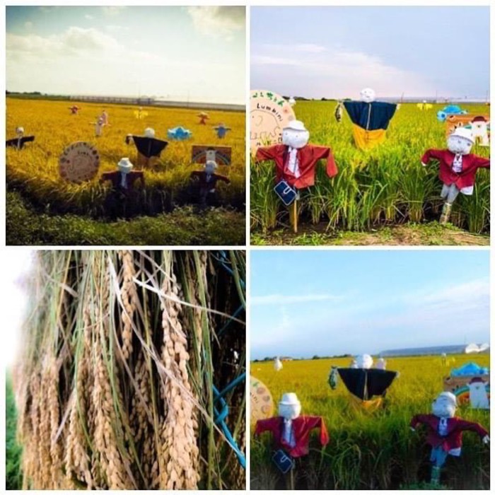 茨城県行方市!柊二先生は2トン車をレンタカーして行ってくれました