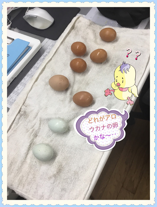 えーっと、えーっと‥