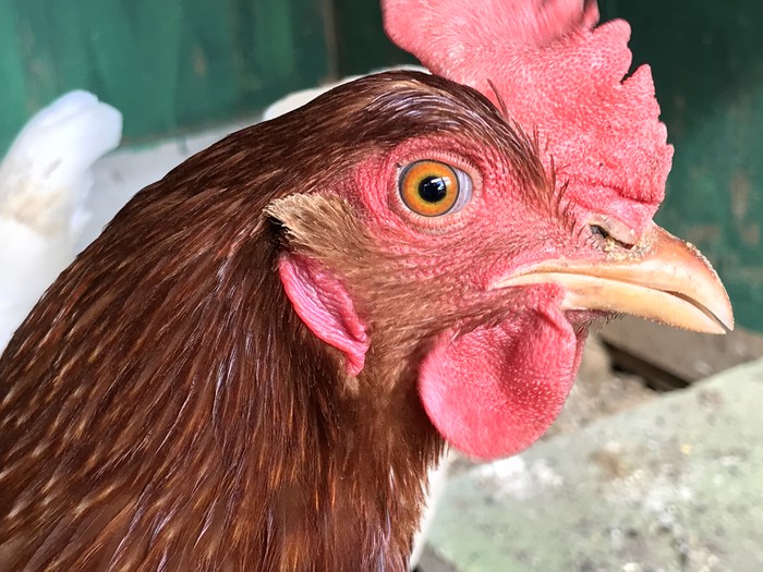 みなさんこんにちわ??