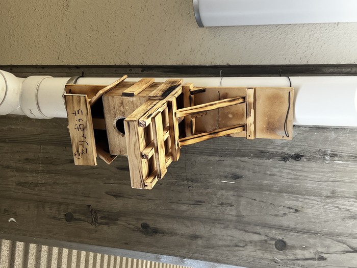 小鳥さんいらっしゃい 