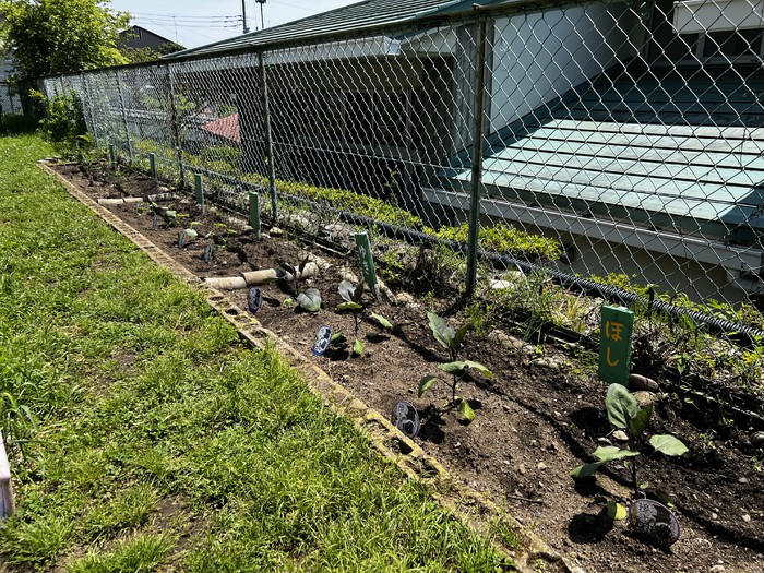 みんなのおやさい