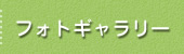 フォトギャラリー